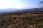 The land